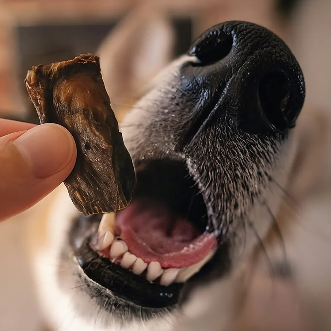 Hígado de Vacuno Deshidratado para Perros y Gatos | Snack Natural Pawtastyco - Imagen 2