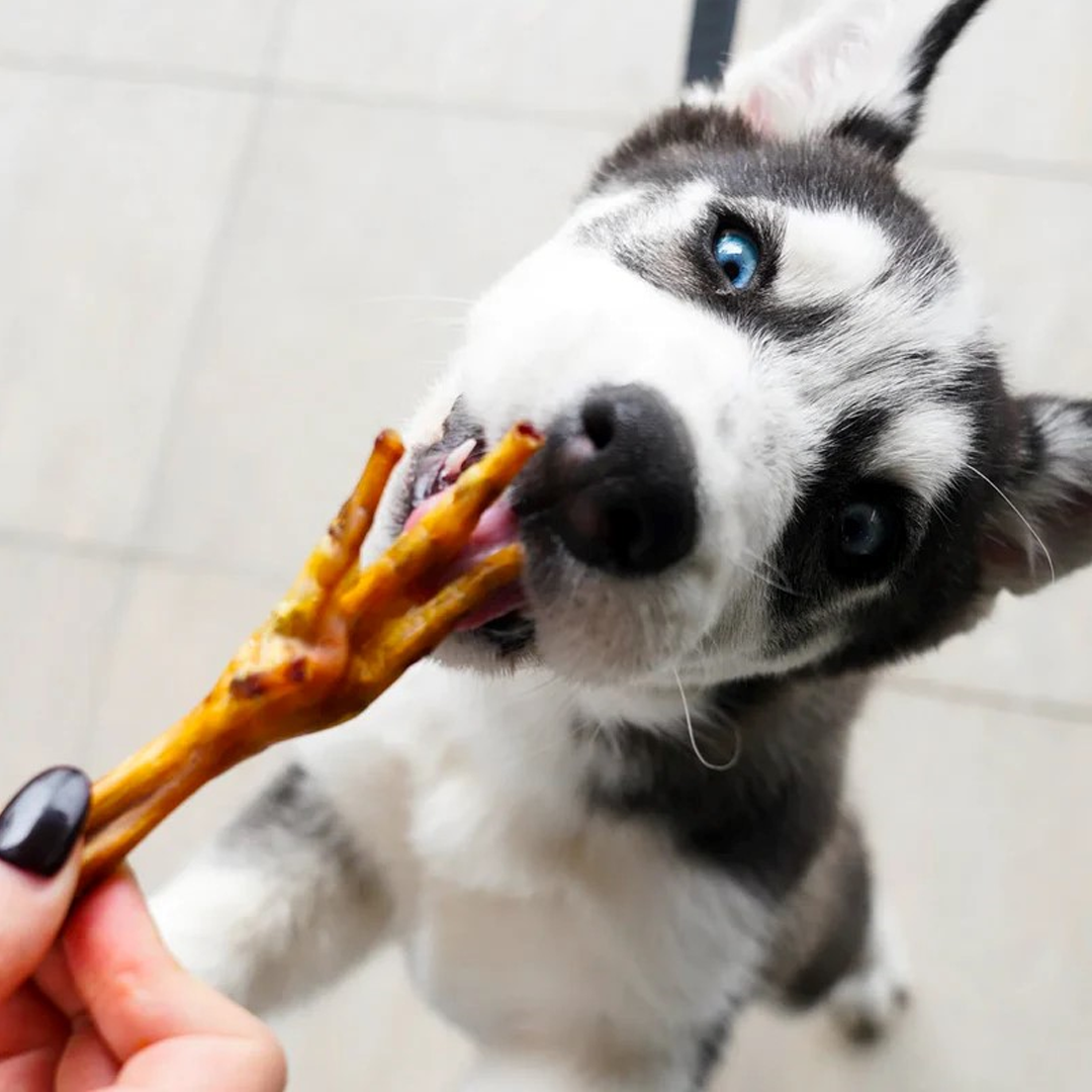 Patas de Pollo Deshidratadas 100% Naturales | Pawtastyco - Imagen 2
